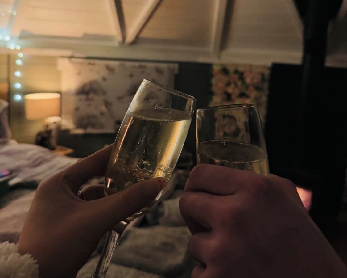 Couple clinking glasses infront of the log fire