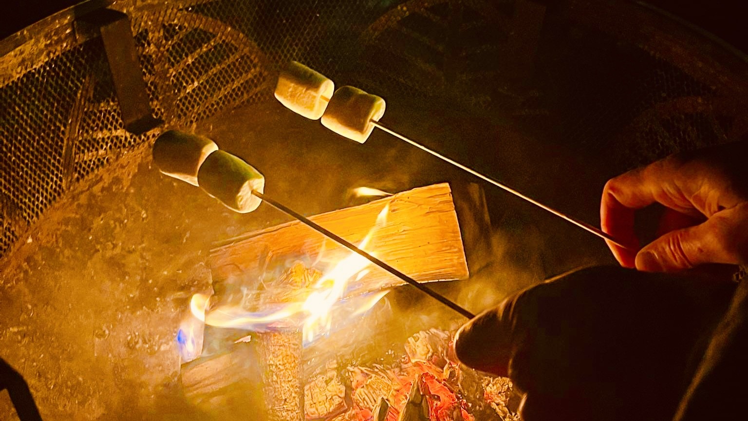 Couple toasting marshmallows by the fire
